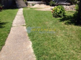casa-de-vanzare-dp-in-alba-iulia-zona-centru-cu-316-mp-teren-2